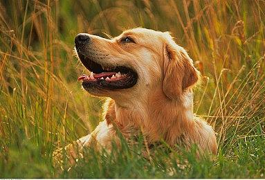 沉浸式叙事推理游戏《接线疑云》（The Operator）亮相Bilibili高能电玩节