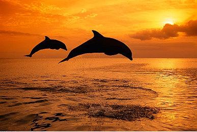 《无人深空》现已完整支持Steam Deck 可触屏操作